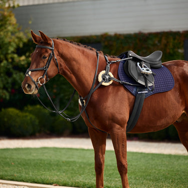 Dublin 5-Point Event Breastplate| Online For Equine