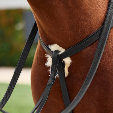 Dublin 5-Point Event Breastplate| Online For Equine