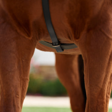 Dublin 5-Point Event Breastplate| Online For Equine