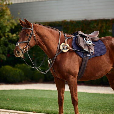 Dublin 5-Point Event Breastplate| Online For Equine