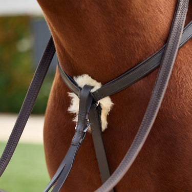 Dublin 5-Point Event Breastplate| Online For Equine