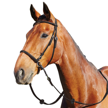 Dublin Bitless Bridle| Online For Equine