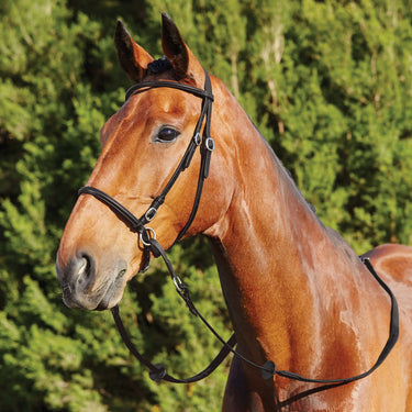 Dublin Bitless Bridle| Online For Equine