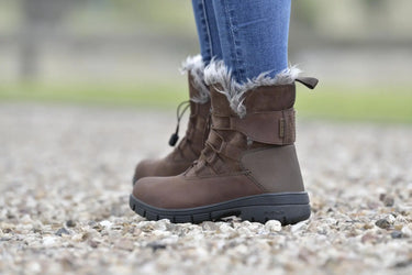 Buy Dublin Boyne Boots Brown| Online for Equine