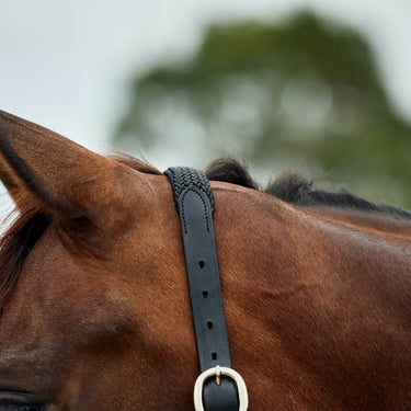 Dublin Braided Leather Headcollar| Online For Equine