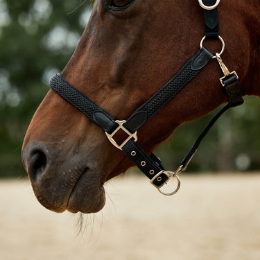 Dublin Braided Leather Headcollar| Online For Equine