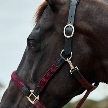 Dublin Braided Leather Headcollar| Online For Equine
