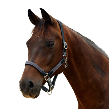 Dublin Braided Leather Headcollar| Online For Equine