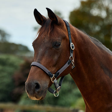 Dublin Braided Leather Headcollar| Online For Equine