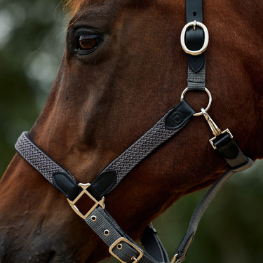 Dublin Braided Leather Headcollar| Online For Equine