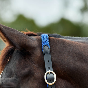 Dublin Braided Leather Headcollar| Online For Equine