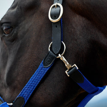 Dublin Braided Leather Headcollar| Online For Equine