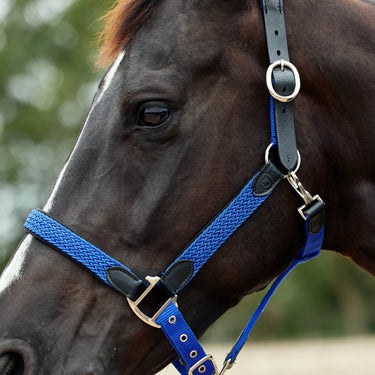 Dublin Braided Leather Headcollar| Online For Equine