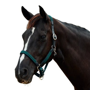 Dublin Braided Leather Headcollar| Online For Equine