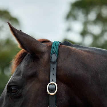 Dublin Braided Leather Headcollar| Online For Equine