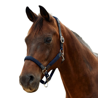 Dublin Braided Leather Headcollar| Online For Equine