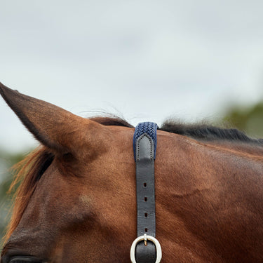 Dublin Braided Leather Headcollar| Online For Equine
