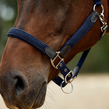 Dublin Braided Leather Headcollar| Online For Equine