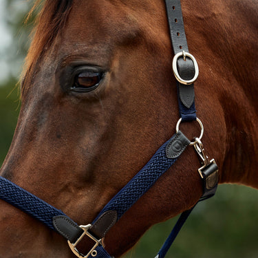 Dublin Braided Leather Headcollar| Online For Equine