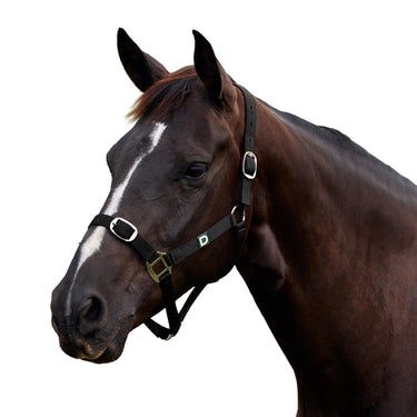 Dublin Everyday Headcollar| Online For Equine