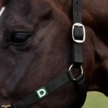 Dublin Everyday Headcollar| Online For Equine