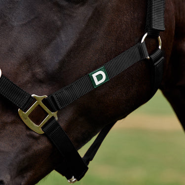Dublin Everyday Headcollar| Online For Equine