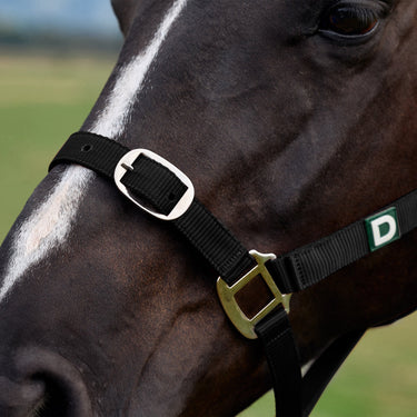 Dublin Everyday Headcollar| Online For Equine