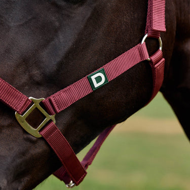 Dublin Everyday Headcollar| Online For Equine