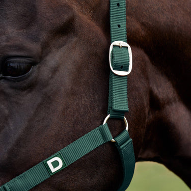 Dublin Everyday Headcollar| Online For Equine