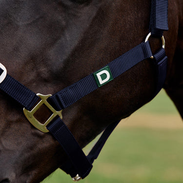 Dublin Everyday Headcollar| Online For Equine