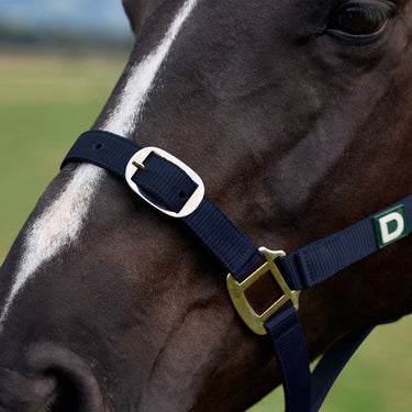 Dublin Everyday Headcollar| Online For Equine