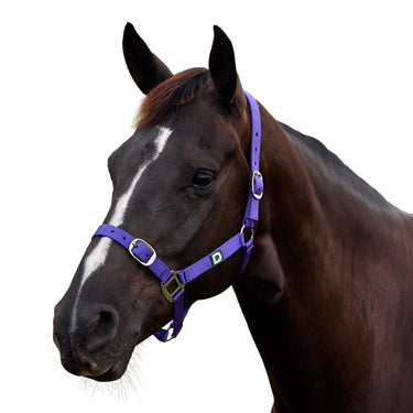 Dublin Everyday Headcollar| Online For Equine