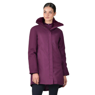 Dublin Everyday Waterproof Jacket Purple Violet| Online For Equine