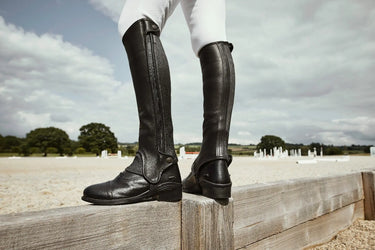 Buy Dublin Evolution Side Zip Half Chaps-Tall-Large-Brown| Online for Equine