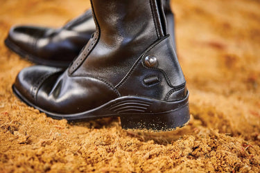 Buy Dublin Evolution Tall Field Boots| Online for Equine