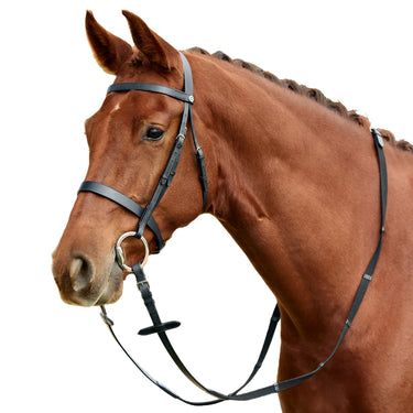 Dublin Flat Cavesson Bridle| Online For Equine
