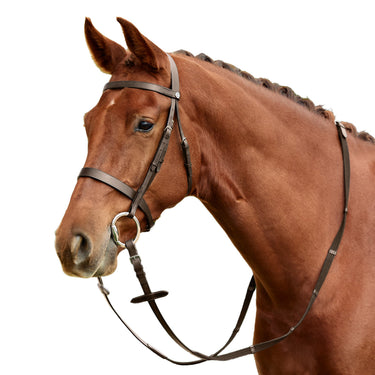 Dublin Flat Cavesson Bridle| Online For Equine