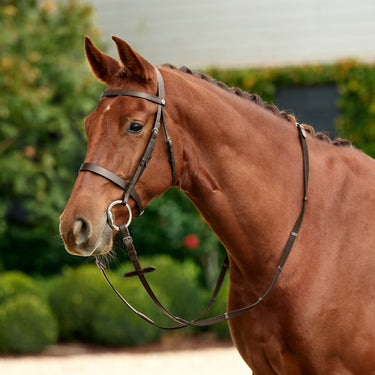 Dublin Flat Cavesson Bridle| Online For Equine