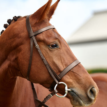 Dublin Flat Cavesson Bridle| Online For Equine