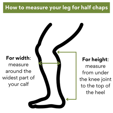 Buy Dublin Fusion Half Chaps| Online for Equine