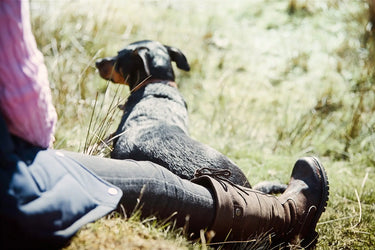 Buy Dublin Kennet Waterproof Country Boots| Online for Equine