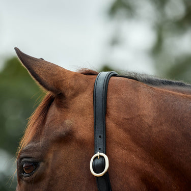 Dublin Leather Rope Headcollar| Online For Equine