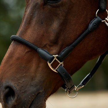 Dublin Leather Rope Headcollar| Online For Equine