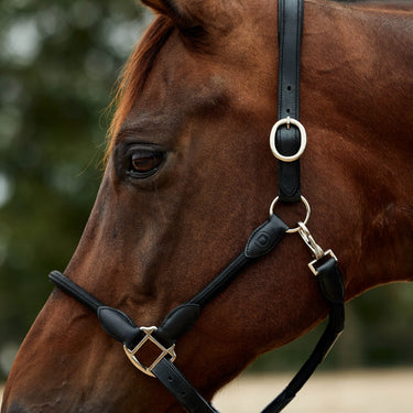 Dublin Leather Rope Headcollar| Online For Equine