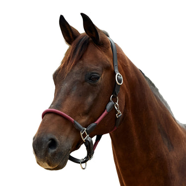Dublin Leather Rope Headcollar| Online For Equine