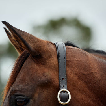 Dublin Leather Rope Headcollar| Online For Equine
