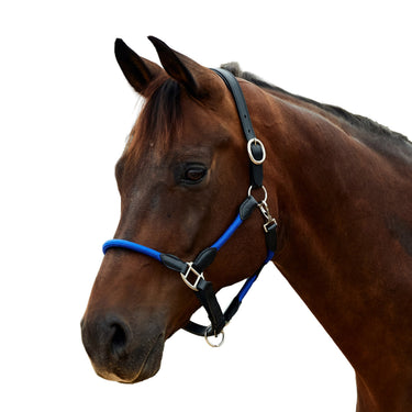 Dublin Leather Rope Headcollar| Online For Equine