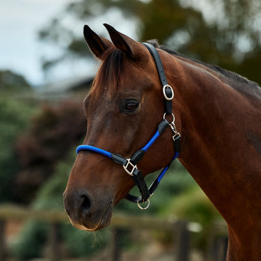 Dublin Leather Rope Headcollar| Online For Equine