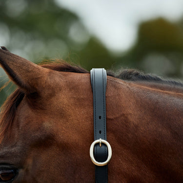 Dublin Leather Rope Headcollar| Online For Equine