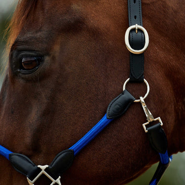 Dublin Leather Rope Headcollar| Online For Equine